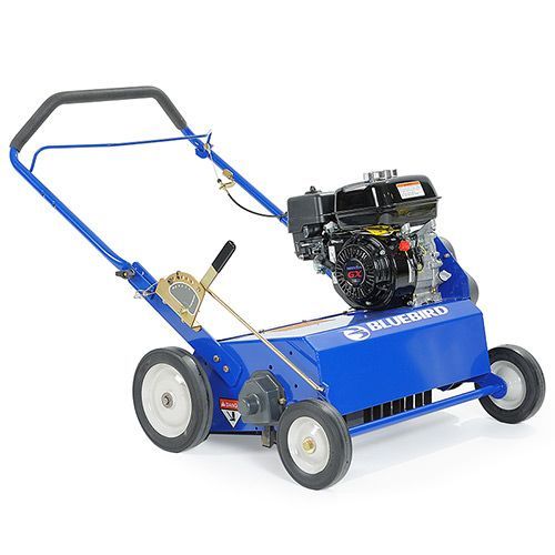 BLUEBIRD 22 IN. POWER RAKE